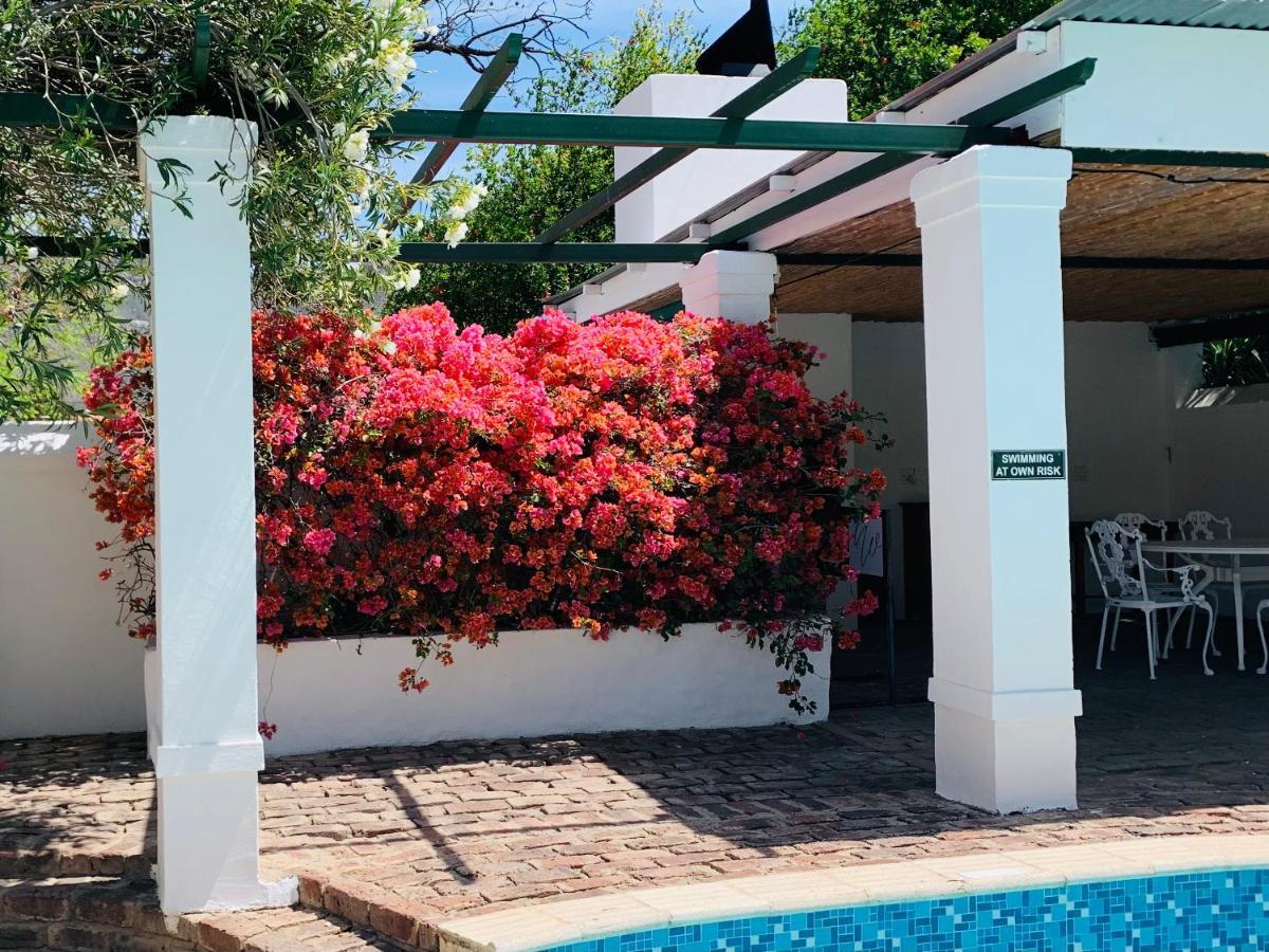 De Wingerd B & B Graaff Reinet Exterior photo